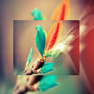 中国女人内㓔视频A
