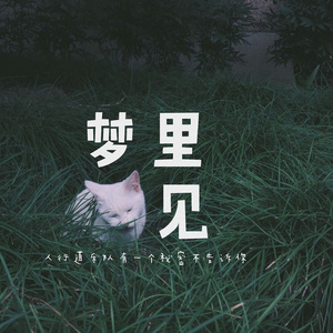 中国女人内㓔视频A
