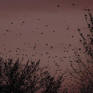 中国女人内㓔视频A
