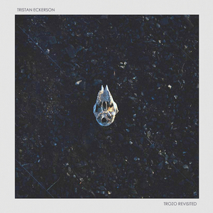 中国女人内㓔视频A
